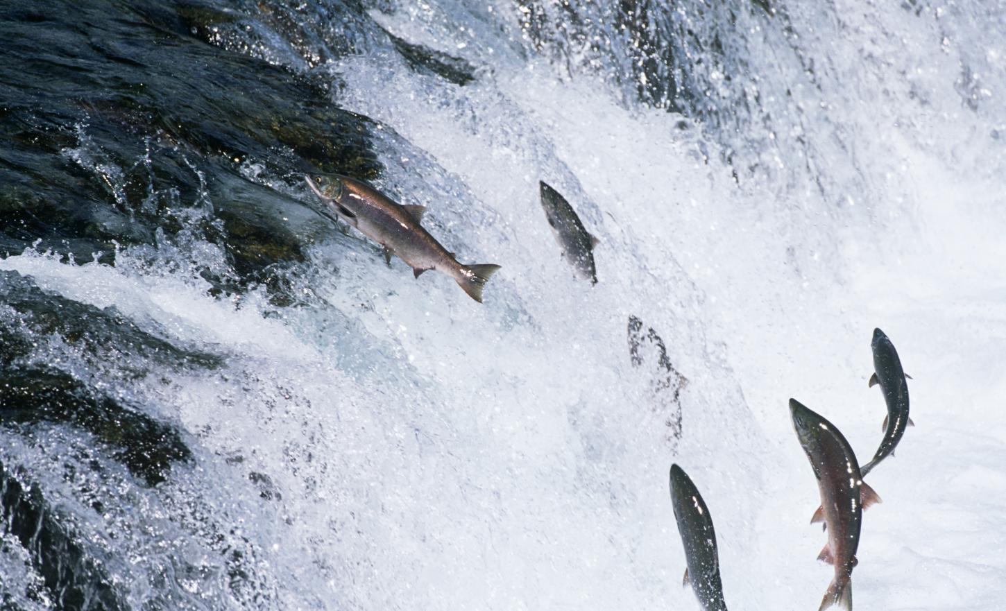 ��������(�й���)���޹�˾����